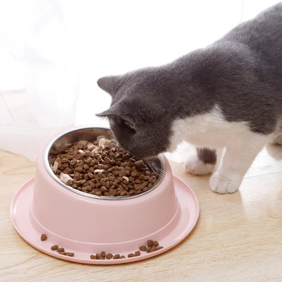 Cat Feeder Slope Anti-Ant Food Bowl For Cat Pet Accessories Dog Bowl