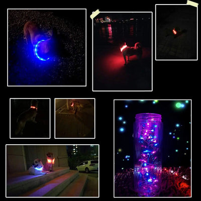 Led Usb Dog Collar Pet Dog Collar Night Dog Collars Glowing