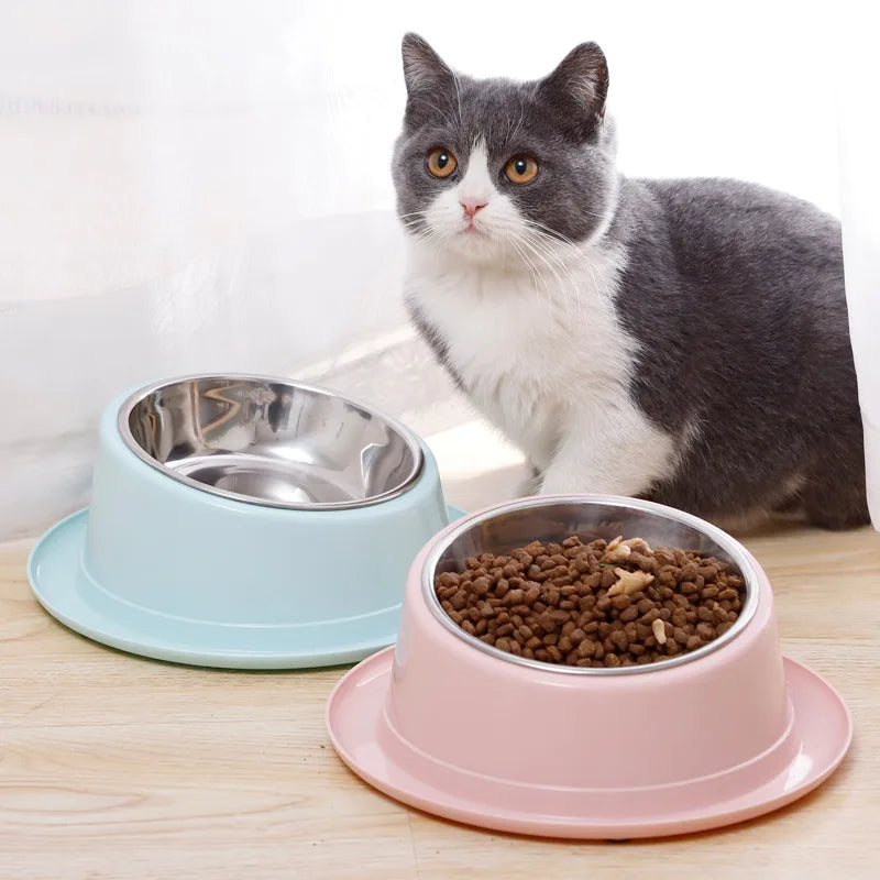 Cat Feeder Slope Anti-Ant Food Bowl For Cat Pet Accessories Dog Bowl