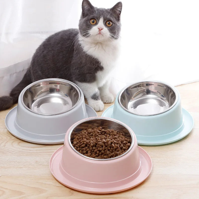 Cat Feeder Slope Anti-Ant Food Bowl For Cat Pet Accessories Dog Bowl