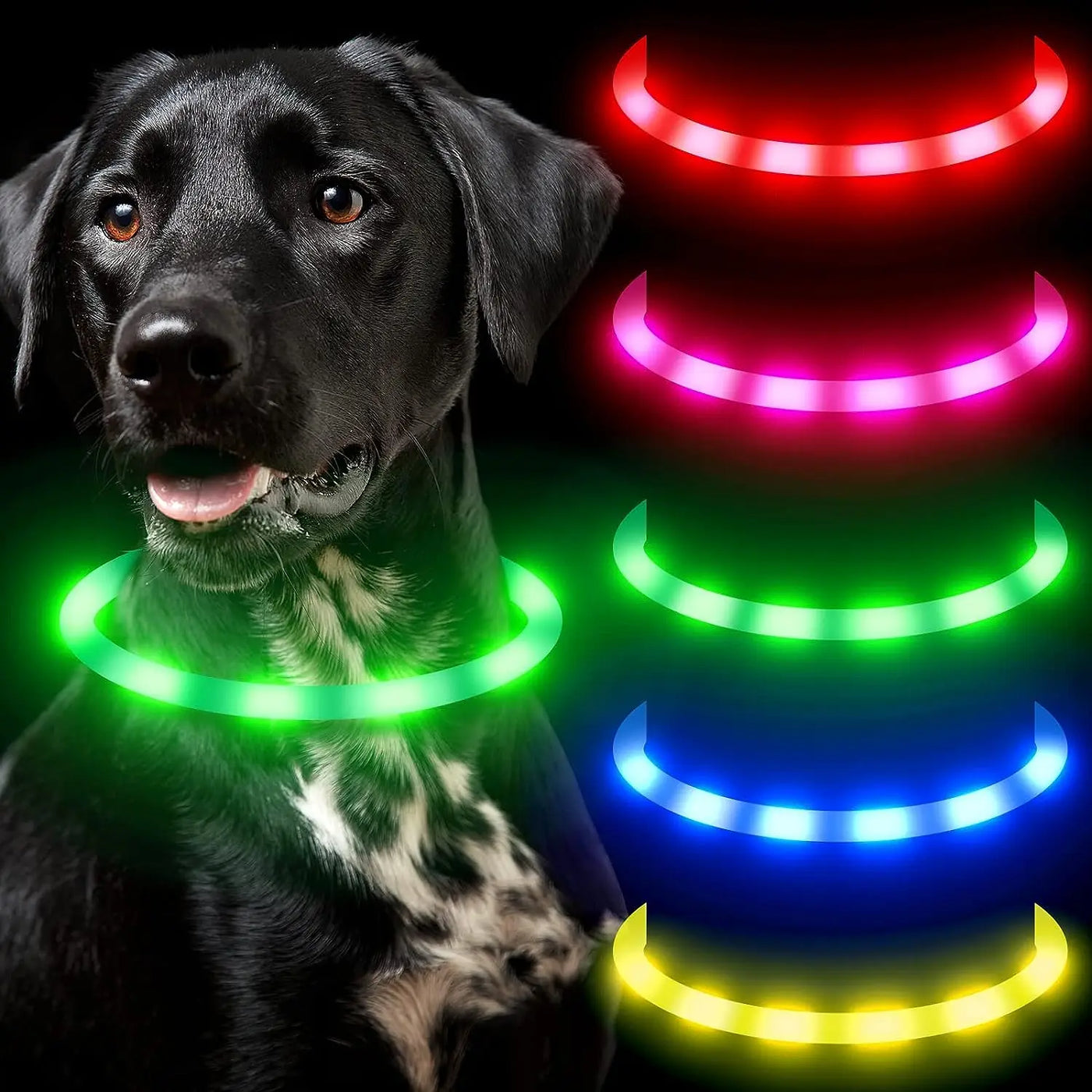 Led Usb Dog Collar Pet Dog Collar Night Dog Collars Glowing