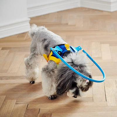 Blind Pet Anti-collision Collar Dog Guide Training Behavior