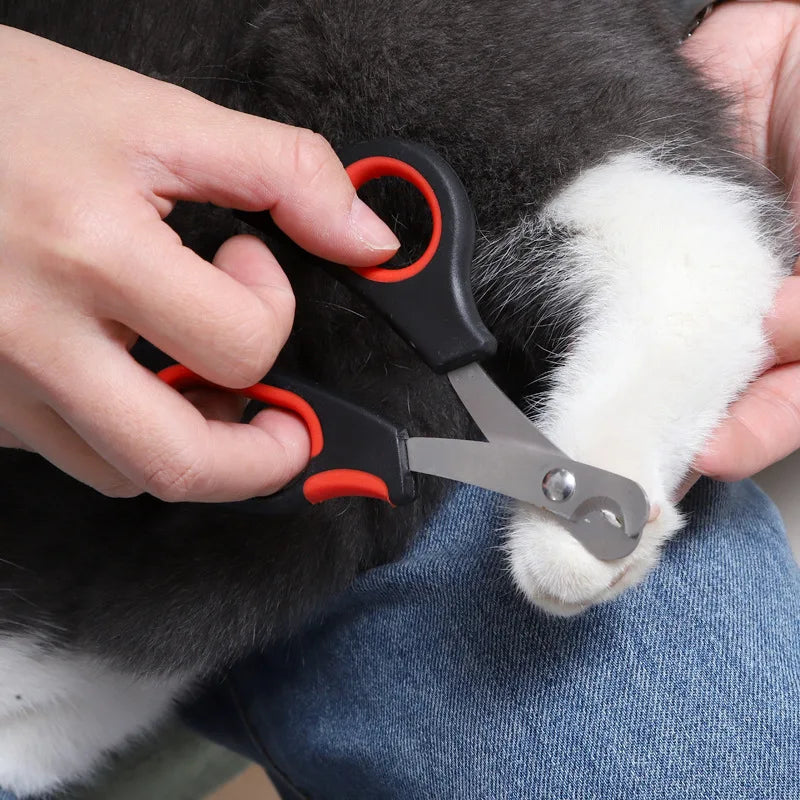 1PC Pet Nail Scissors Dog Cat Nail Claw Grooming Scissors