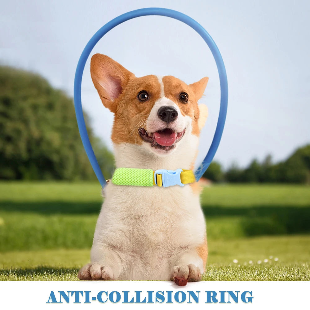 Blind Pet Anti-collision Collar Dog Guide Training Behavior